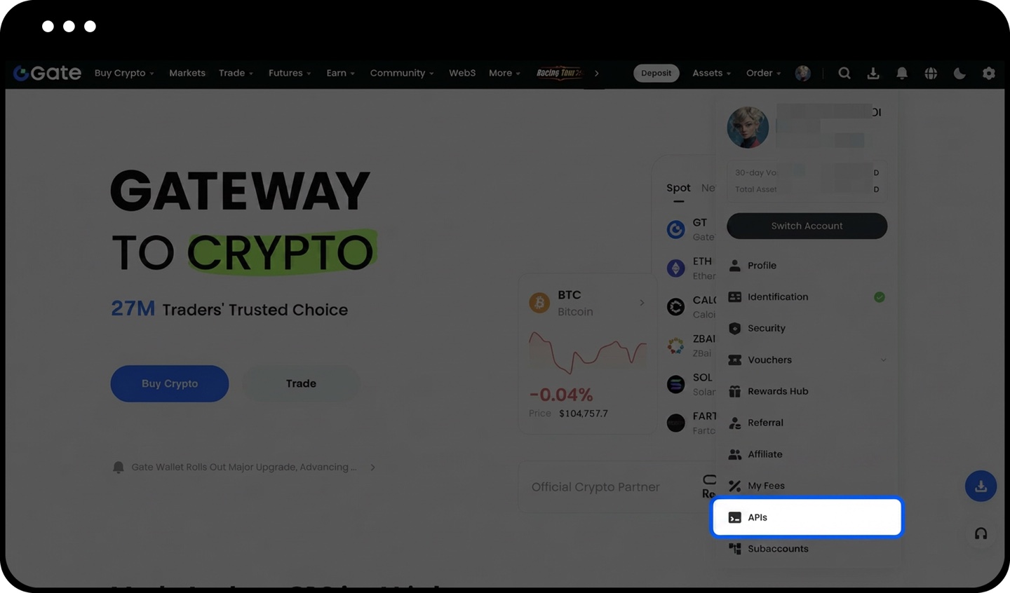 Gate profile menu with the APIs entry highlighted